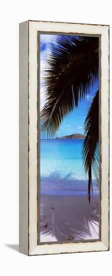 Palm Tree on the Beach, Maho Bay, Virgin Islands National Park, St. John, Us Virgin Islands-null-Framed Stretched Canvas