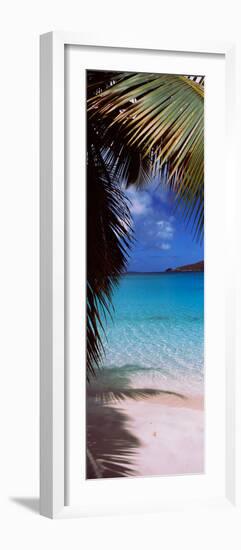 Palm Tree on the Beach, Maho Bay, Virgin Islands National Park, St. John, Us Virgin Islands-null-Framed Photographic Print
