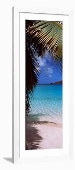 Palm Tree on the Beach, Maho Bay, Virgin Islands National Park, St. John, Us Virgin Islands-null-Framed Photographic Print