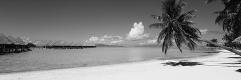 Premium Photographic Print