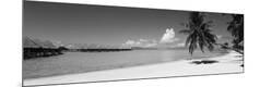 Premium Photographic Print