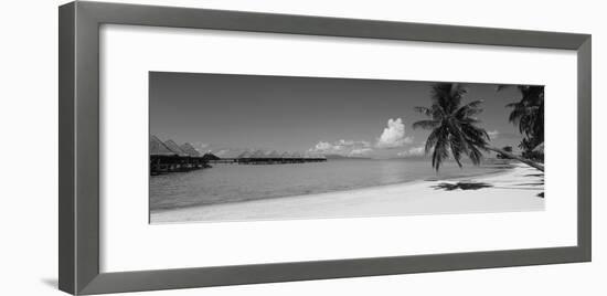 Palm Tree on the Beach, Moana Beach, Bora Bora, Tahiti, French Polynesia-null-Framed Photographic Print