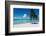 Palm Tree On The Beach, Moana Beach, Bora Bora, Tahiti, French Polynesia-null-Framed Photographic Print