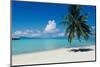 Palm Tree On The Beach, Moana Beach, Bora Bora, Tahiti, French Polynesia-null-Mounted Photographic Print