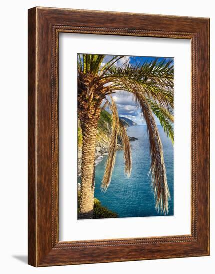 Palm Tree on the Hillside, Vernazza, Italy-George Oze-Framed Photographic Print