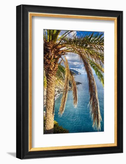 Palm Tree on the Hillside, Vernazza, Italy-George Oze-Framed Photographic Print