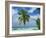 Palm Tree on the Tropical Island of Nakatchafushi in the Maldive Islands, Indian Ocean-Harding Robert-Framed Photographic Print