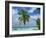 Palm Tree on the Tropical Island of Nakatchafushi in the Maldive Islands, Indian Ocean-Harding Robert-Framed Photographic Print