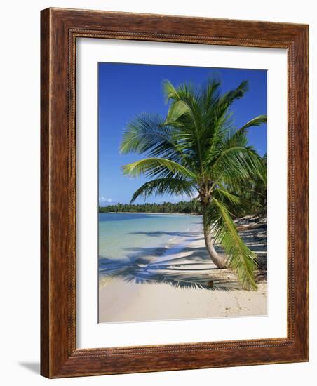 Palm Tree on Tropical Bavaro Beach, Dominican Republic, West Indies, Caribbean, Central America-Lightfoot Jeremy-Framed Photographic Print