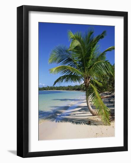 Palm Tree on Tropical Bavaro Beach, Dominican Republic, West Indies, Caribbean, Central America-Lightfoot Jeremy-Framed Photographic Print