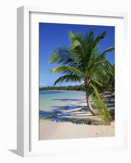 Palm Tree on Tropical Bavaro Beach, Dominican Republic, West Indies, Caribbean, Central America-Lightfoot Jeremy-Framed Photographic Print