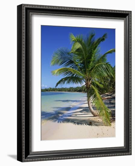 Palm Tree on Tropical Bavaro Beach, Dominican Republic, West Indies, Caribbean, Central America-Lightfoot Jeremy-Framed Photographic Print