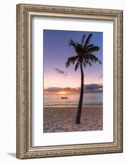 Palm tree on tropical beach during sunset, Le Morne Brabant, Black River district, Mauritius-Roberto Moiola-Framed Photographic Print