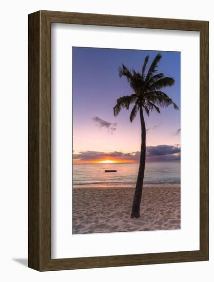 Palm tree on tropical beach during sunset, Le Morne Brabant, Black River district, Mauritius-Roberto Moiola-Framed Photographic Print