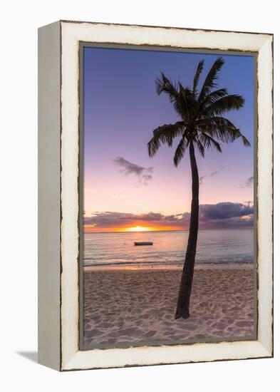 Palm tree on tropical beach during sunset, Le Morne Brabant, Black River district, Mauritius-Roberto Moiola-Framed Premier Image Canvas