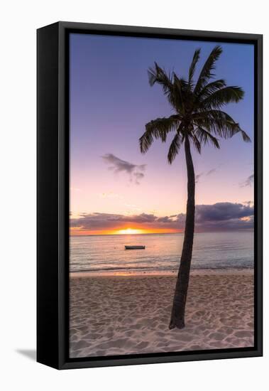 Palm tree on tropical beach during sunset, Le Morne Brabant, Black River district, Mauritius-Roberto Moiola-Framed Premier Image Canvas