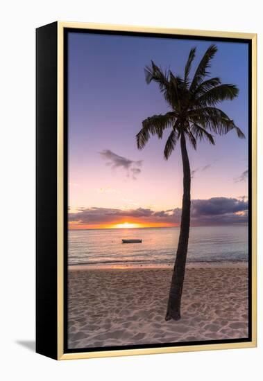 Palm tree on tropical beach during sunset, Le Morne Brabant, Black River district, Mauritius-Roberto Moiola-Framed Premier Image Canvas