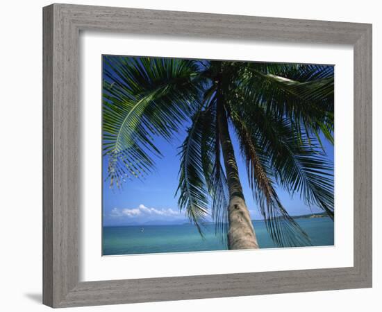 Palm Tree Overhanging Turquoise Waters at Koh Samui, Thailand, Southeast Asia-Dominic Harcourt-webster-Framed Photographic Print