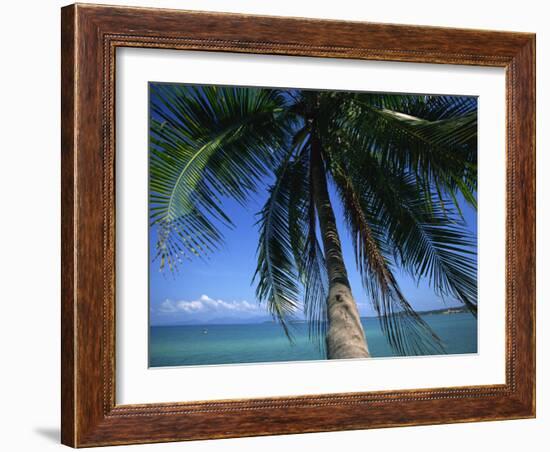 Palm Tree Overhanging Turquoise Waters at Koh Samui, Thailand, Southeast Asia-Dominic Harcourt-webster-Framed Photographic Print