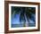 Palm Tree Overhanging Turquoise Waters at Koh Samui, Thailand, Southeast Asia-Dominic Harcourt-webster-Framed Photographic Print