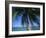 Palm Tree Overhanging Turquoise Waters at Koh Samui, Thailand, Southeast Asia-Dominic Harcourt-webster-Framed Photographic Print