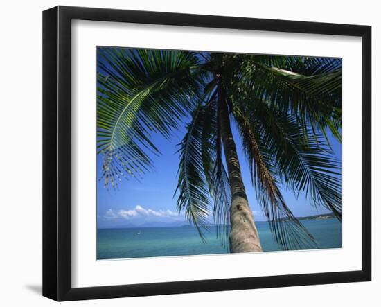 Palm Tree Overhanging Turquoise Waters at Koh Samui, Thailand, Southeast Asia-Dominic Harcourt-webster-Framed Photographic Print