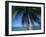 Palm Tree Overhanging Turquoise Waters at Koh Samui, Thailand, Southeast Asia-Dominic Harcourt-webster-Framed Photographic Print