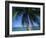 Palm Tree Overhanging Turquoise Waters at Koh Samui, Thailand, Southeast Asia-Dominic Harcourt-webster-Framed Photographic Print