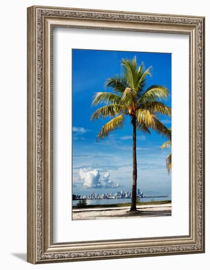 Palm Tree overlooking Downtown Miami - Florida-Philippe Hugonnard-Framed Photographic Print