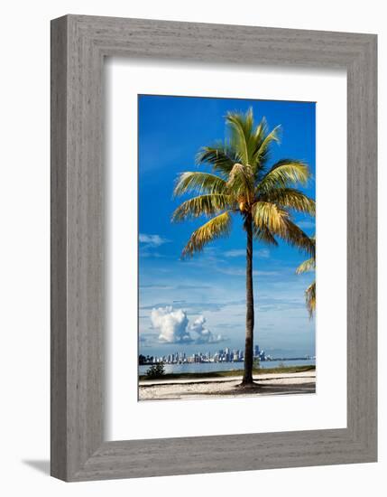 Palm Tree overlooking Downtown Miami - Florida-Philippe Hugonnard-Framed Photographic Print