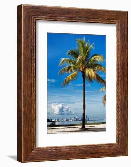 Palm Tree overlooking Downtown Miami - Florida-Philippe Hugonnard-Framed Photographic Print