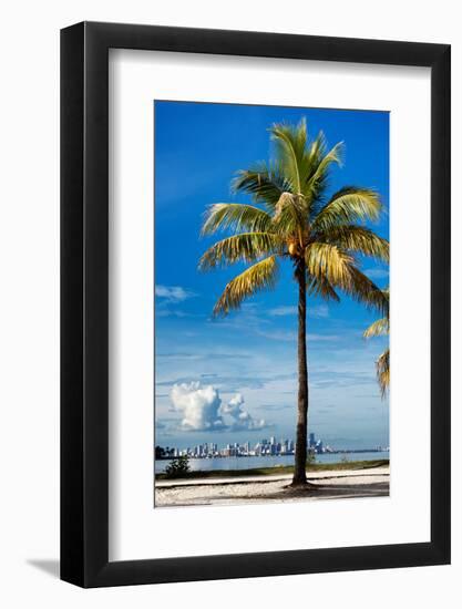 Palm Tree overlooking Downtown Miami - Florida-Philippe Hugonnard-Framed Photographic Print