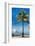 Palm Tree overlooking Downtown Miami - Florida-Philippe Hugonnard-Framed Photographic Print