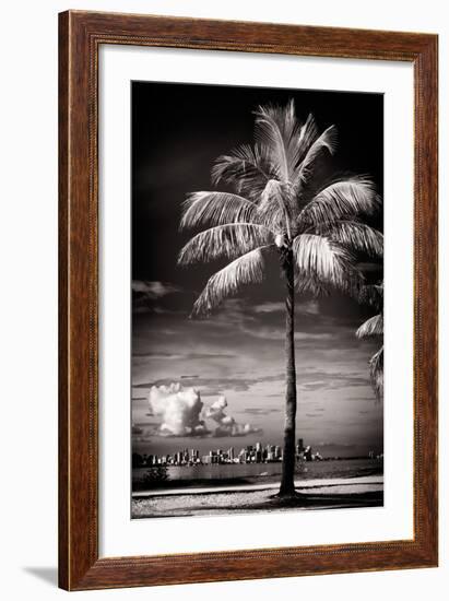 Palm Tree overlooking Downtown Miami - Florida-Philippe Hugonnard-Framed Photographic Print