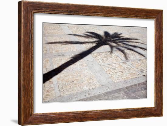 Palm Tree Shadow in Cadiz-Felipe Rodriguez-Framed Photographic Print