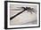 Palm Tree Shadow in Cadiz-Felipe Rodriguez-Framed Photographic Print