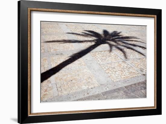 Palm Tree Shadow in Cadiz-Felipe Rodriguez-Framed Photographic Print