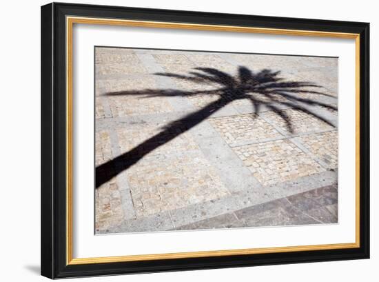 Palm Tree Shadow in Cadiz-Felipe Rodriguez-Framed Photographic Print