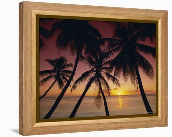 Palm Tree Silhouettes at Pigeon Point, Tobago, Trinidad and Tobago, West Indies, Caribbean-Gavin Hellier-Framed Premier Image Canvas