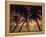 Palm Tree Silhouettes at Pigeon Point, Tobago, Trinidad and Tobago, West Indies, Caribbean-Gavin Hellier-Framed Premier Image Canvas