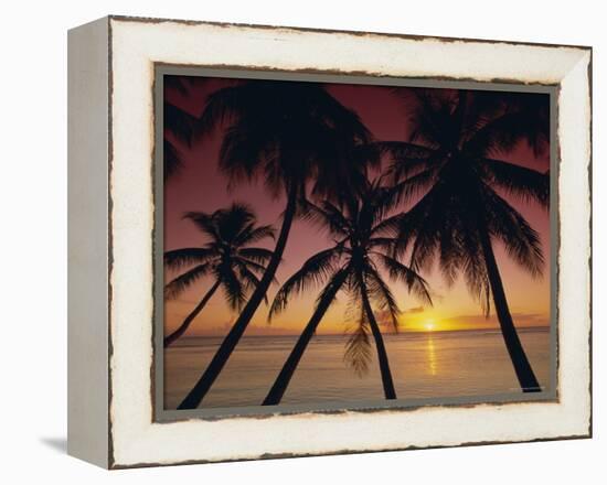 Palm Tree Silhouettes at Pigeon Point, Tobago, Trinidad and Tobago, West Indies, Caribbean-Gavin Hellier-Framed Premier Image Canvas