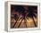 Palm Tree Silhouettes at Pigeon Point, Tobago, Trinidad and Tobago, West Indies, Caribbean-Gavin Hellier-Framed Premier Image Canvas