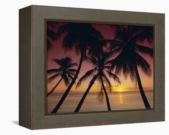 Palm Tree Silhouettes at Pigeon Point, Tobago, Trinidad and Tobago, West Indies, Caribbean-Gavin Hellier-Framed Premier Image Canvas