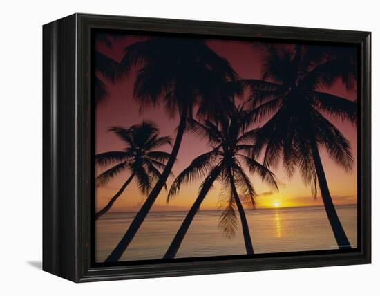 Palm Tree Silhouettes at Pigeon Point, Tobago, Trinidad and Tobago, West Indies, Caribbean-Gavin Hellier-Framed Premier Image Canvas