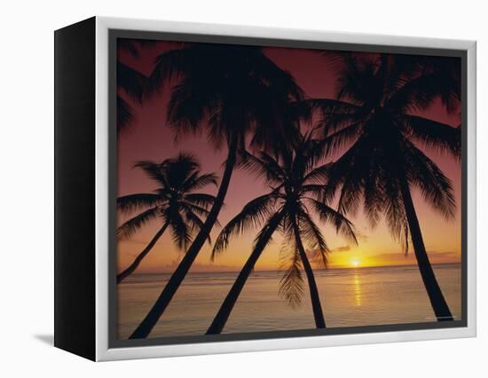 Palm Tree Silhouettes at Pigeon Point, Tobago, Trinidad and Tobago, West Indies, Caribbean-Gavin Hellier-Framed Premier Image Canvas