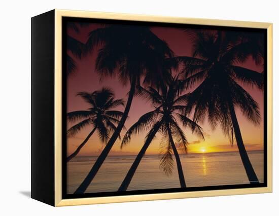 Palm Tree Silhouettes at Pigeon Point, Tobago, Trinidad and Tobago, West Indies, Caribbean-Gavin Hellier-Framed Premier Image Canvas