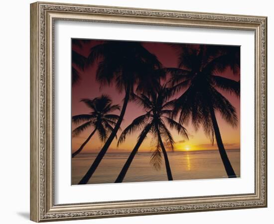 Palm Tree Silhouettes at Pigeon Point, Tobago, Trinidad and Tobago, West Indies, Caribbean-Gavin Hellier-Framed Photographic Print