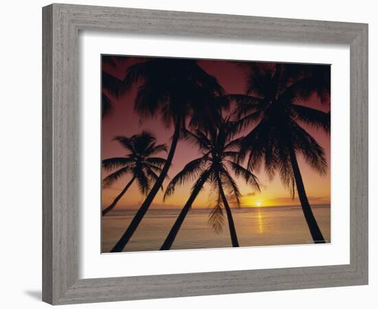 Palm Tree Silhouettes at Pigeon Point, Tobago, Trinidad and Tobago, West Indies, Caribbean-Gavin Hellier-Framed Photographic Print