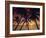 Palm Tree Silhouettes at Pigeon Point, Tobago, Trinidad and Tobago, West Indies, Caribbean-Gavin Hellier-Framed Photographic Print