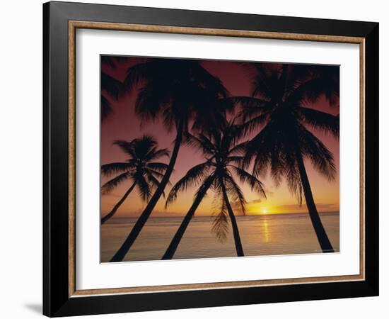 Palm Tree Silhouettes at Pigeon Point, Tobago, Trinidad and Tobago, West Indies, Caribbean-Gavin Hellier-Framed Photographic Print